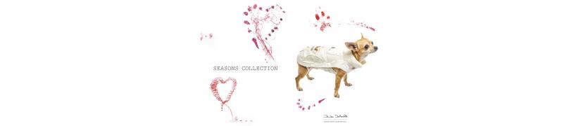 Zamp'arte manteaux tapis sacs de transport chiens Daniela Dallavalle